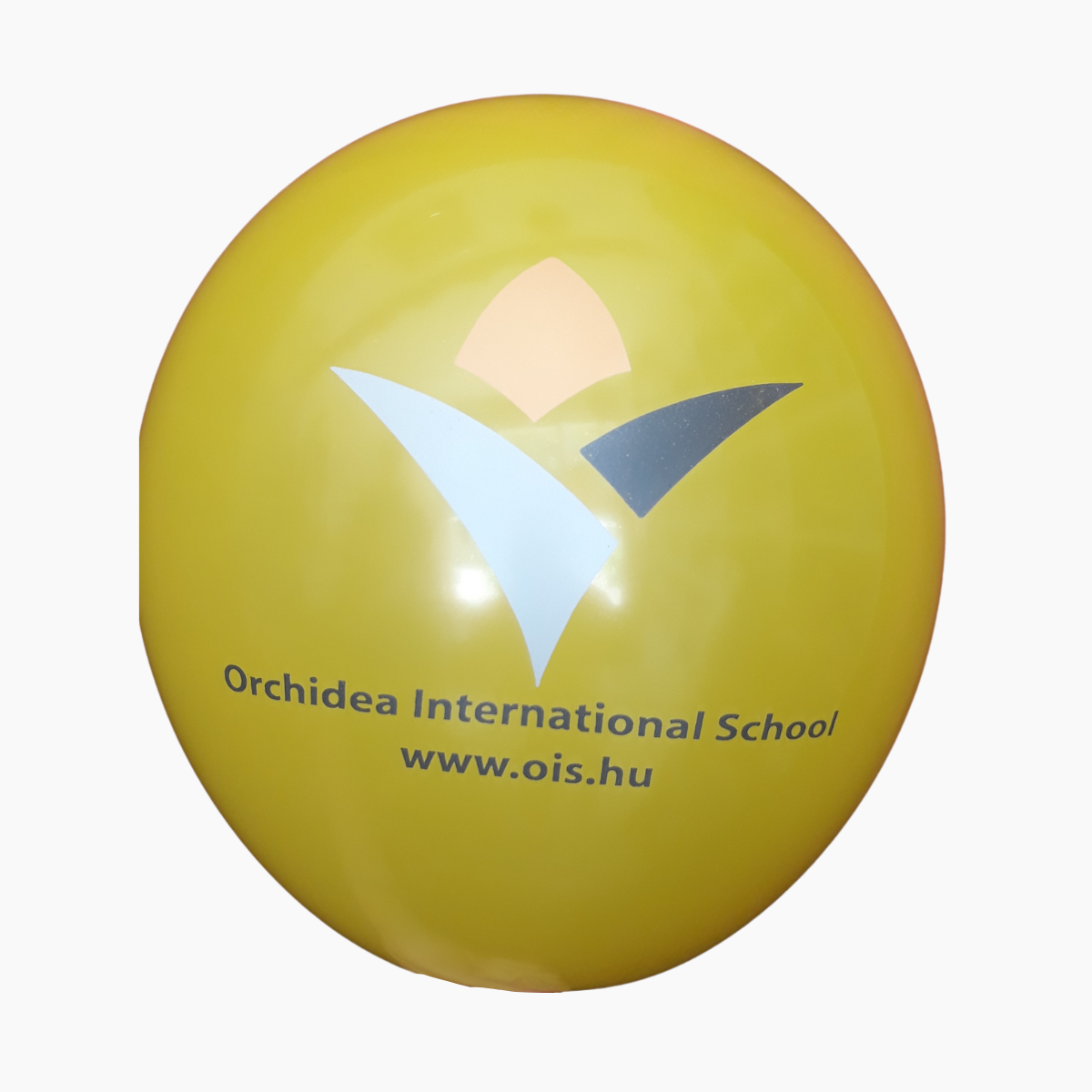 Baskılı Balon-10